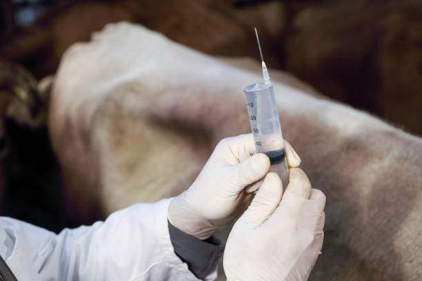 Animal Antibiotics And Antimicrobials Market