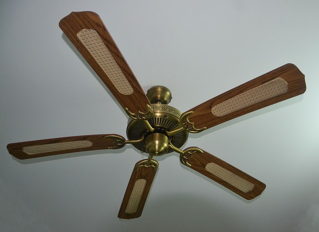BLDC Fans Market 