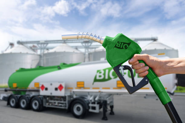 Biodiesel Market