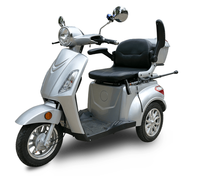 Electric Bike Market