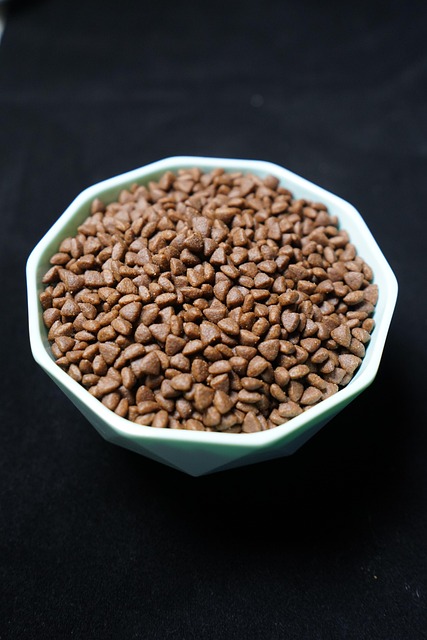 Latin America Feed Antioxidants Market