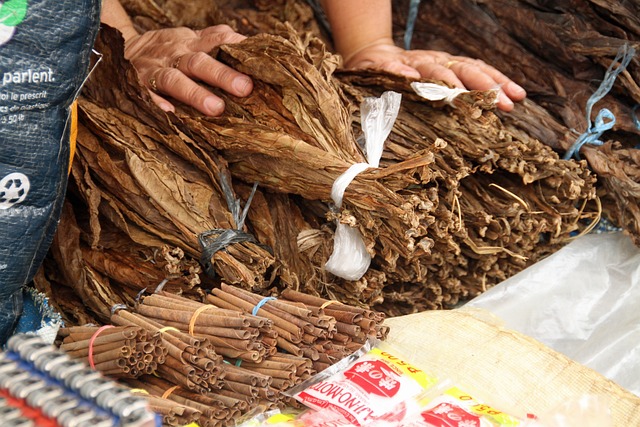 Raw Tobacco Leaves Market 