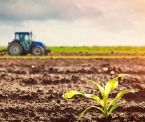 Silage Inoculants Market