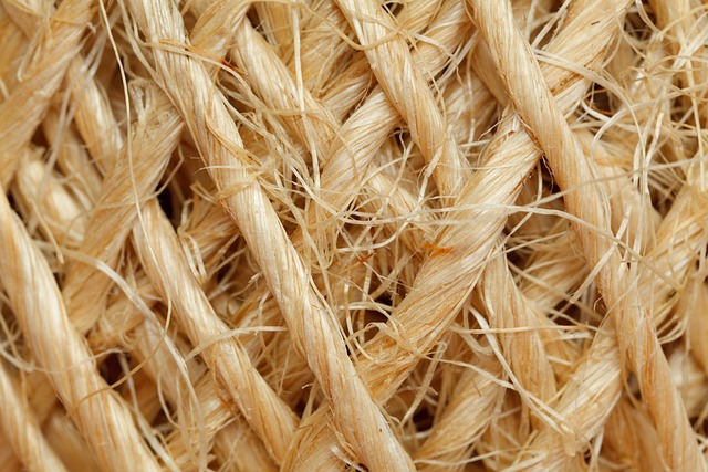 Sisal Twine Market