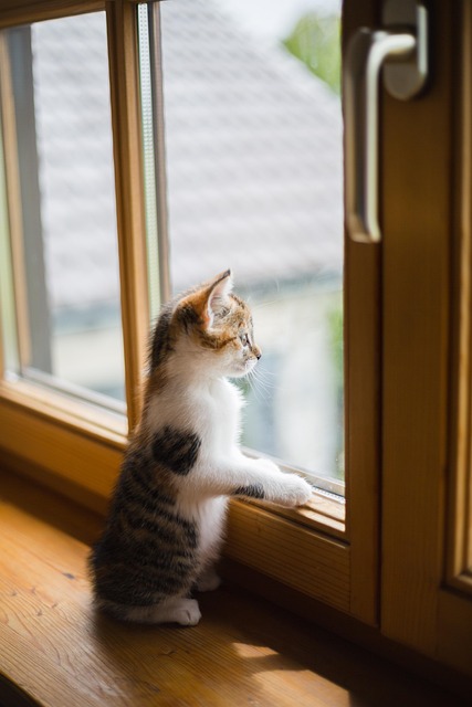 Solar Control Window Films Market