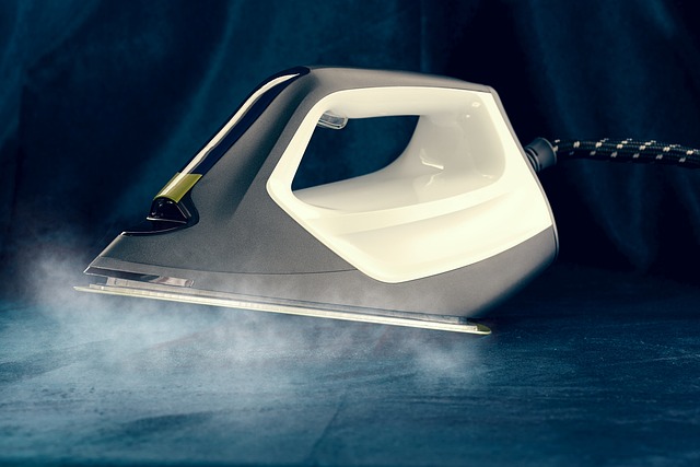 Steam Iron Market