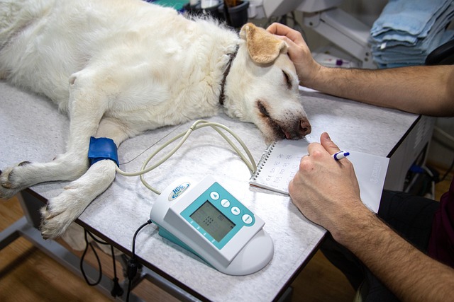 Global Veterinary Invitro Diagnostics Market