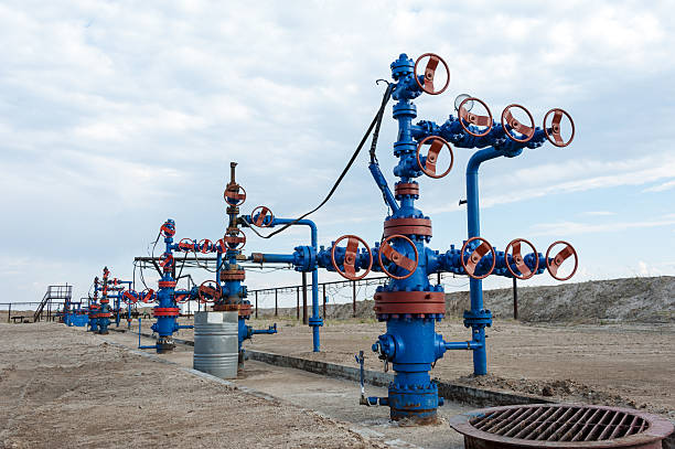 Wellhead Seals Market 
