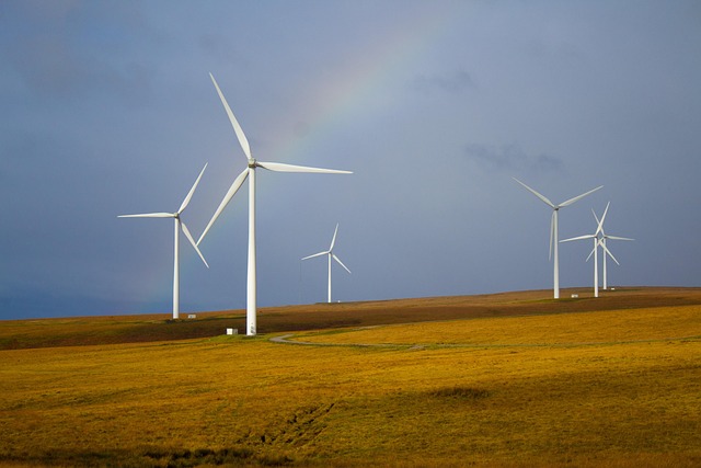 Wind Energy Market