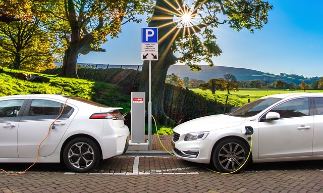 Zero Emission Commercial Vehicles Market